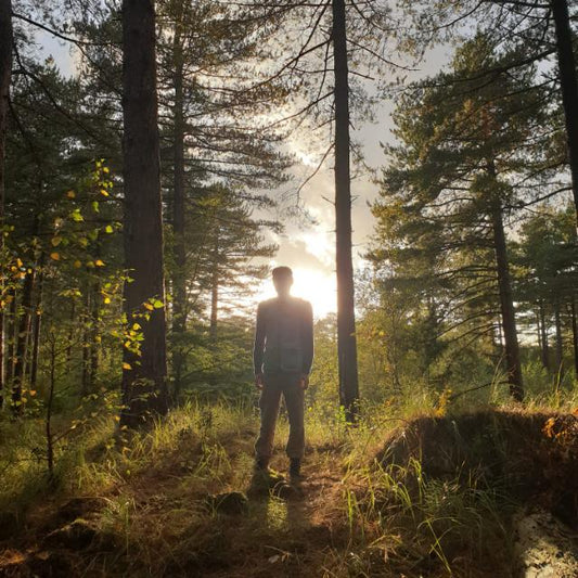 Wild mushroom foraging tour - Pre-order - MOGU Amsterdam