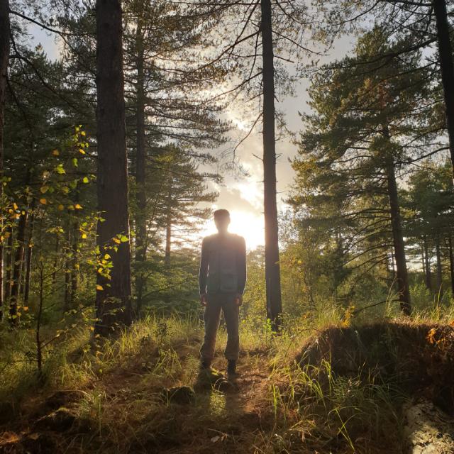 Wild mushroom foraging tour - Pre-order - MOGU Amsterdam