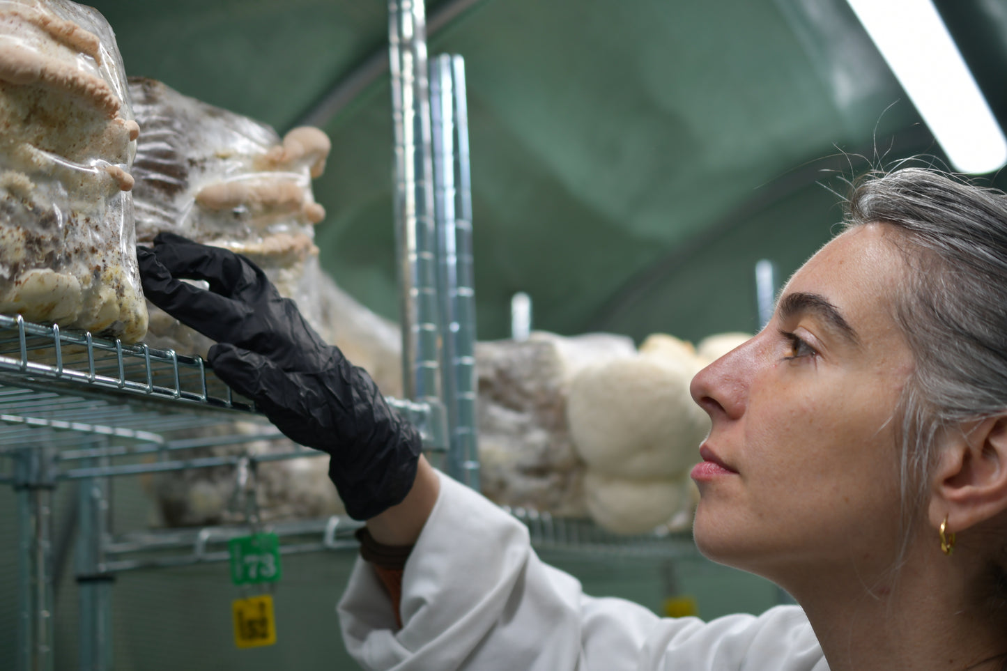Mushroom Cultivation Workshop