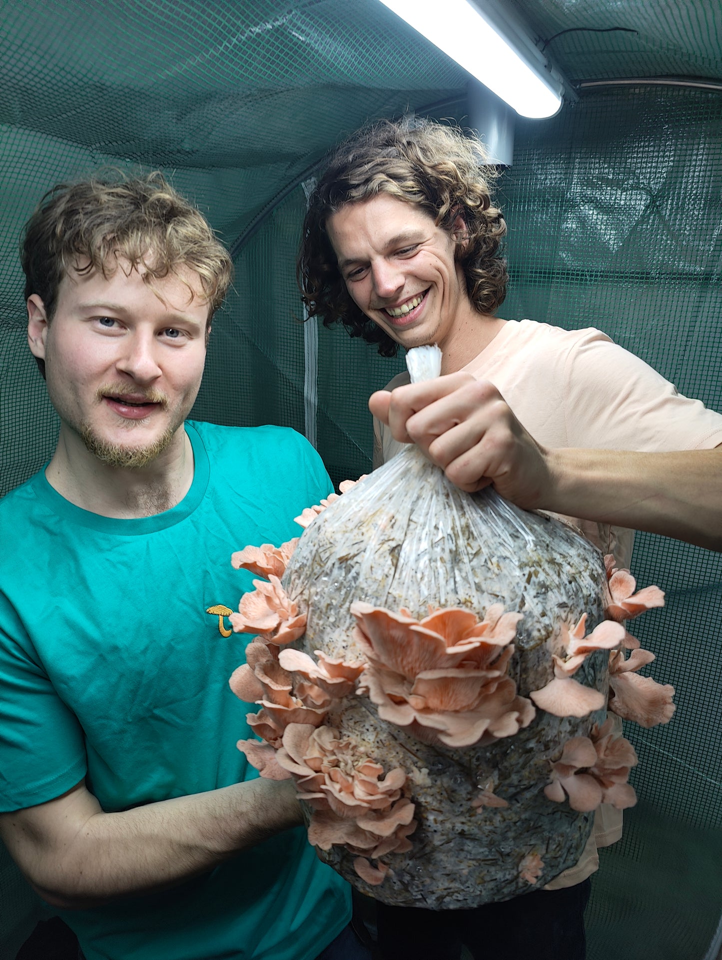 MOGU-grown Specialty Mushrooms! - Mogu Amsterdam