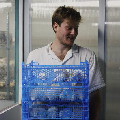 Mushroom Cultivation Workshop