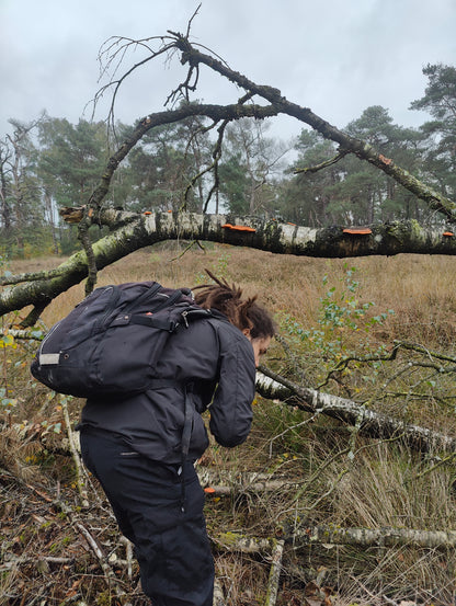 Wild Mushroom Foraging Tour and Tasting - MOGU Amsterdam