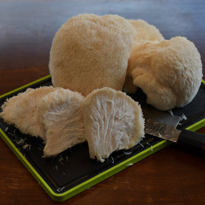 Fresh Lion's Mane Mushroom