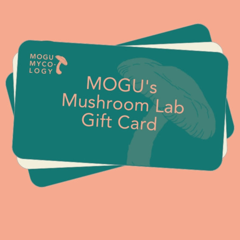 MOGU's Mushroom Lab Gift Card - MOGU Amsterdam