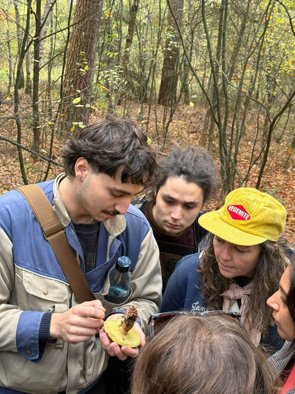 Wild Mushroom Foraging Tour and Tasting - MOGU Amsterdam