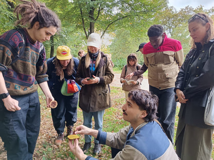 Wild Mushroom Foraging Tour and Tasting - MOGU Amsterdam